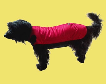 trover dog coats