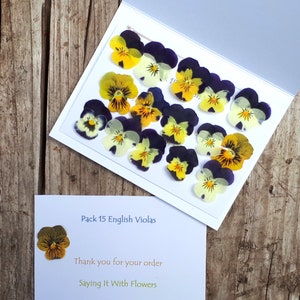 Petits altos pressés, Lot de 15 petits altos variés, Fabrication de bijoux, Fleurs séchées, Décoration de gâteaux