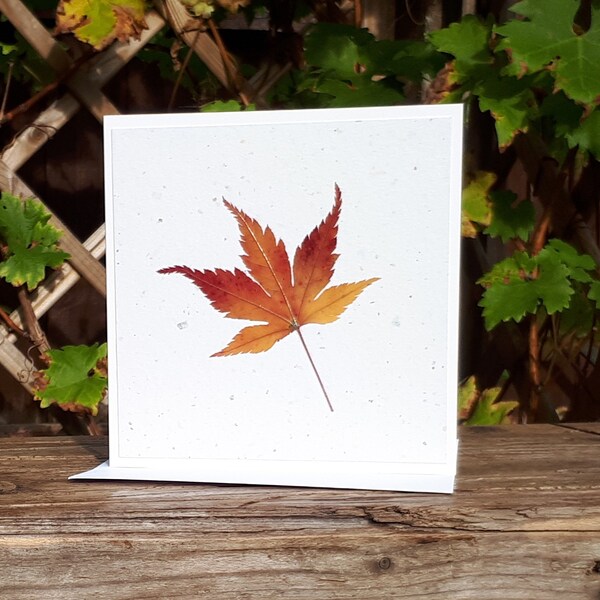 Acer Leaf Card, Personalised Real Autumn Leaf Card, Blank Card, Fall Birthday Card