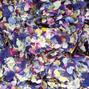 May include: A dense collection of dried flower petals and small blossoms in shades of deep purple, violet, magenta, yellow, and white. The assortment includes various pansy petals, small daisies, and tiny blue forget-me-nots scattered throughout.