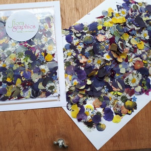 May include: A collection of assorted pressed dried flowers in shades of blue, purple, yellow, and white. The flowers are displayed inside a clear plastic pouch with a circular flora graphics label and scattered across a white paper sheet.