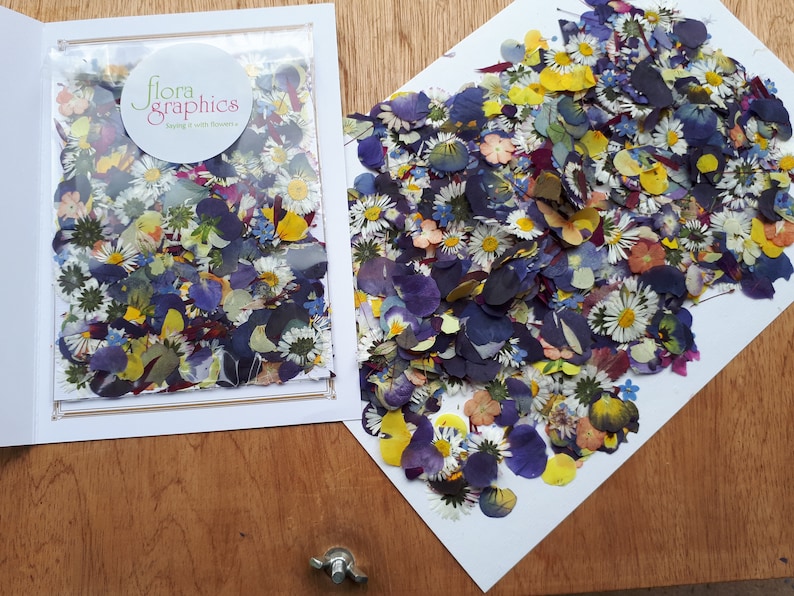 May include: A collection of assorted pressed dried flowers in shades of blue, purple, yellow, and white. The flowers are displayed inside a clear plastic pouch with a circular flora graphics label and scattered across a white paper sheet.