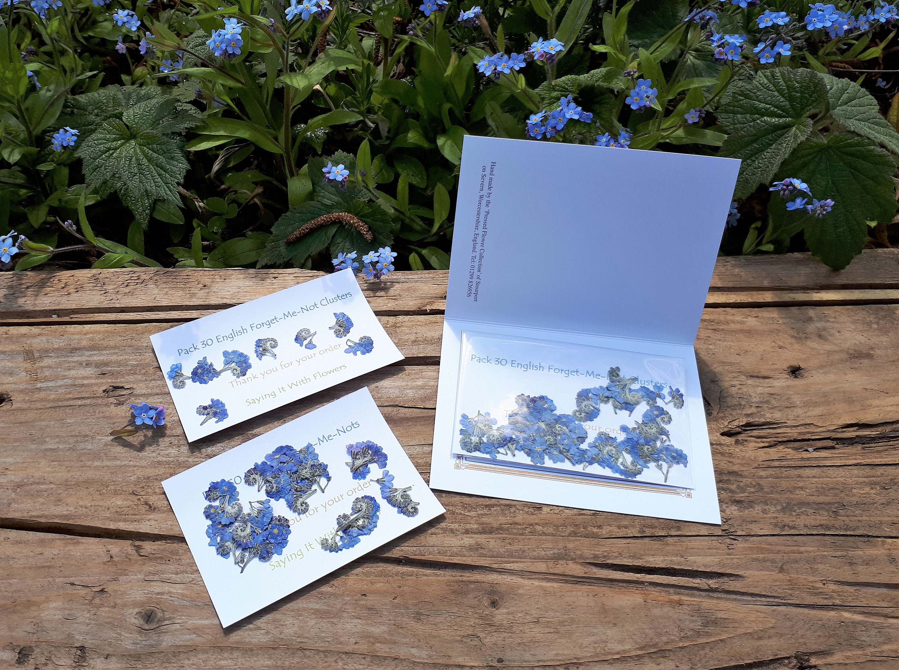 Me Nots Pack 30 Pressed Clusters Etsy