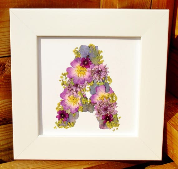 Alphabet Letters A Z Framed Pressed Flower Prints Alphabet Letters A Z Framed Pressed