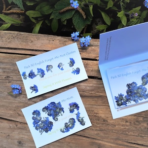 Forget Me Nots, Lot de 30 grappes de myosotis pressées, Fournitures en résine, Fabrication de bijoux, Fabrication de cartes