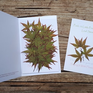 Tiges de feuilles d'acer pressées, lot de 10 tiges de feuilles d'acer, Photographie, Fournitures créatives, Fabrication de cartes, Fournitures en résine