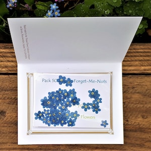 Forget-me-nots, lot de 50 myosotis séchés, fleurs pressées, scrapbooking, bijoux en résine, fabrication de cartes