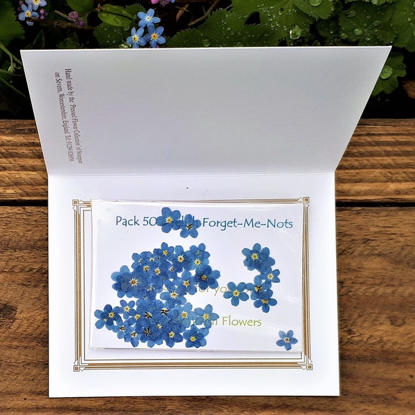 Forget-Me-Nots, Pack of 50 Dried Forget-Me-Nots, Pressed Flower Supplies, Scrapbooking, Resin Jewellery, Card Making