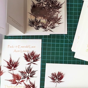 Feuilles d'acer pressées, Paquet de 15 feuilles d'acer pressées, Photographie d'automne, Fournitures créatives, Fabrication de cartes, Action de grâces, Mariage d'automne