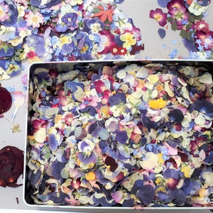 May include: A rectangular metal tin filled with a dense collection of pressed dried flower petals in shades of blue, purple, pink, yellow, and white. Scattered loose pressed flower petals in similar colors surround the tin on a light surface.