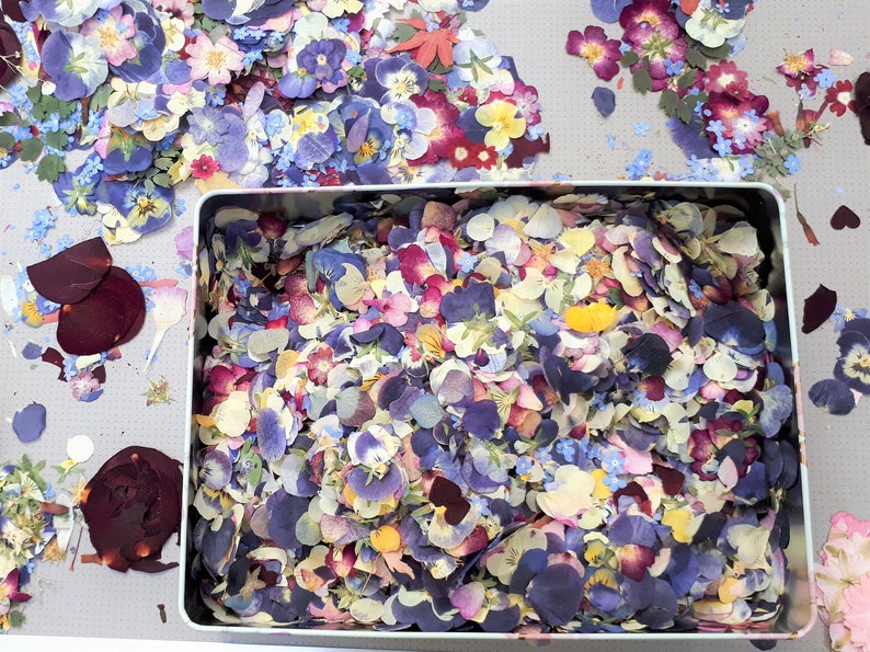 May include: A rectangular metal tin filled with a dense collection of pressed dried flower petals in shades of blue, purple, pink, yellow, and white. Scattered loose pressed flower petals in similar colors surround the tin on a light surface.