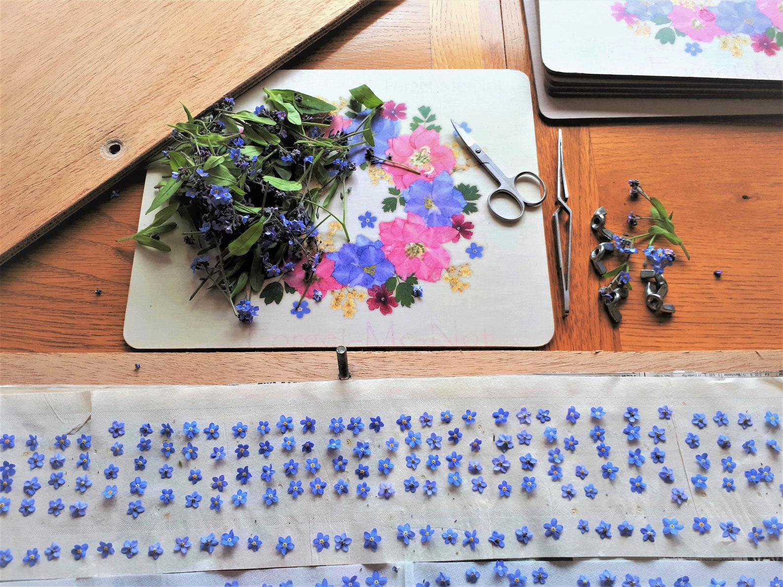 Pack 50 Dried Pressed Flower Etsy UK