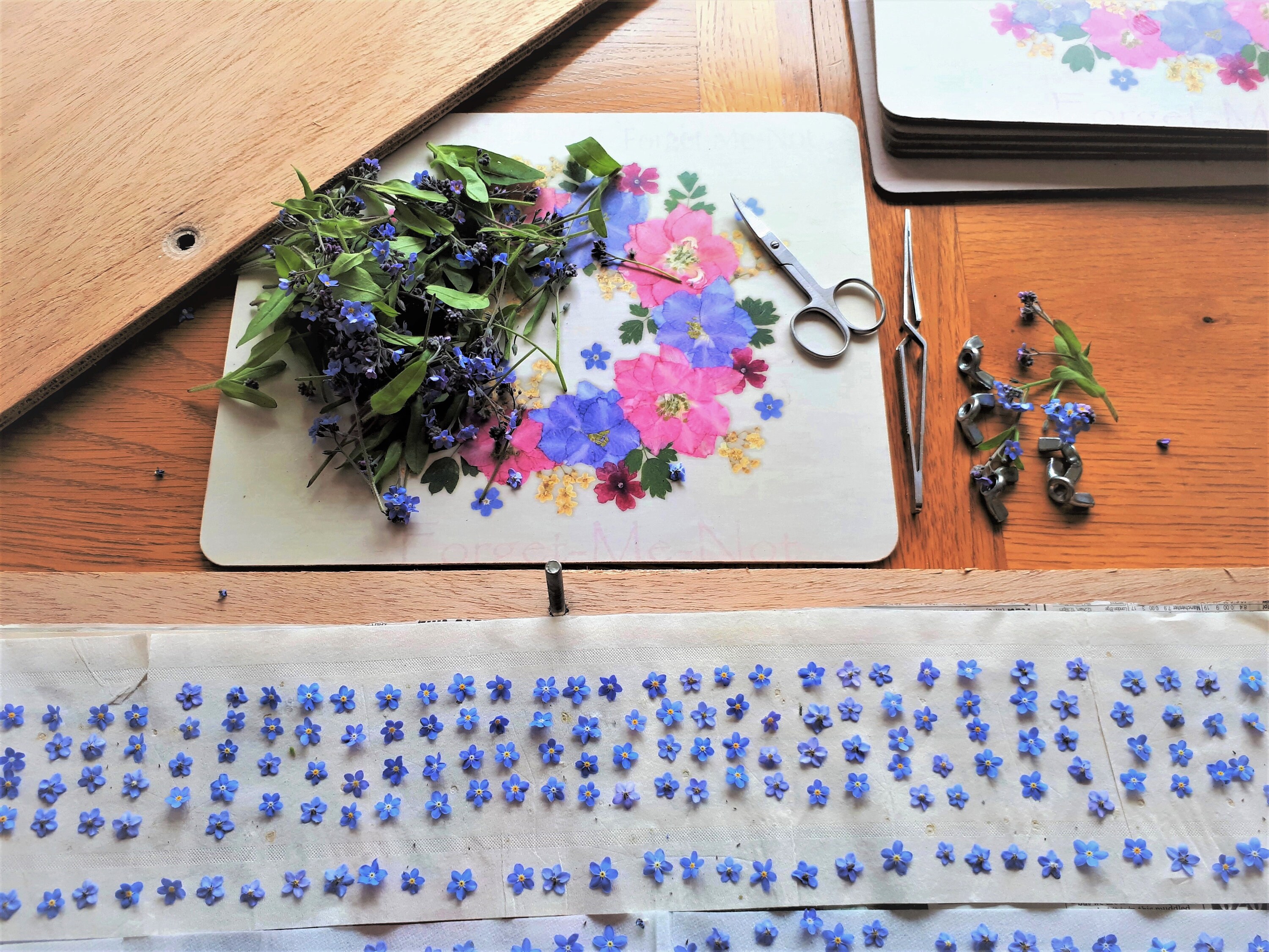 Pack 50 Dried Pressed Flower Etsy