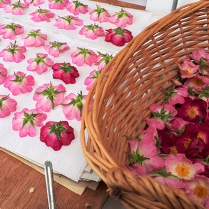 May include: A woven wicker basket filled with pink and deep magenta rose blossoms, positioned next to a white paper surface covered in rows of individual, flattened pink and dark red rose flowers with visible green stems and sepals.