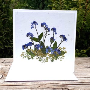 Véritable carte myosotis, carte personnalisée fleurs pressées, carte vierge, carte d'anniversaire de maman
