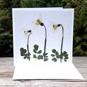 Carte personnalisée véritable perce-neige, carte vierge, carte d'anniversaire, carte d'anniversaire, carte de fête des mères