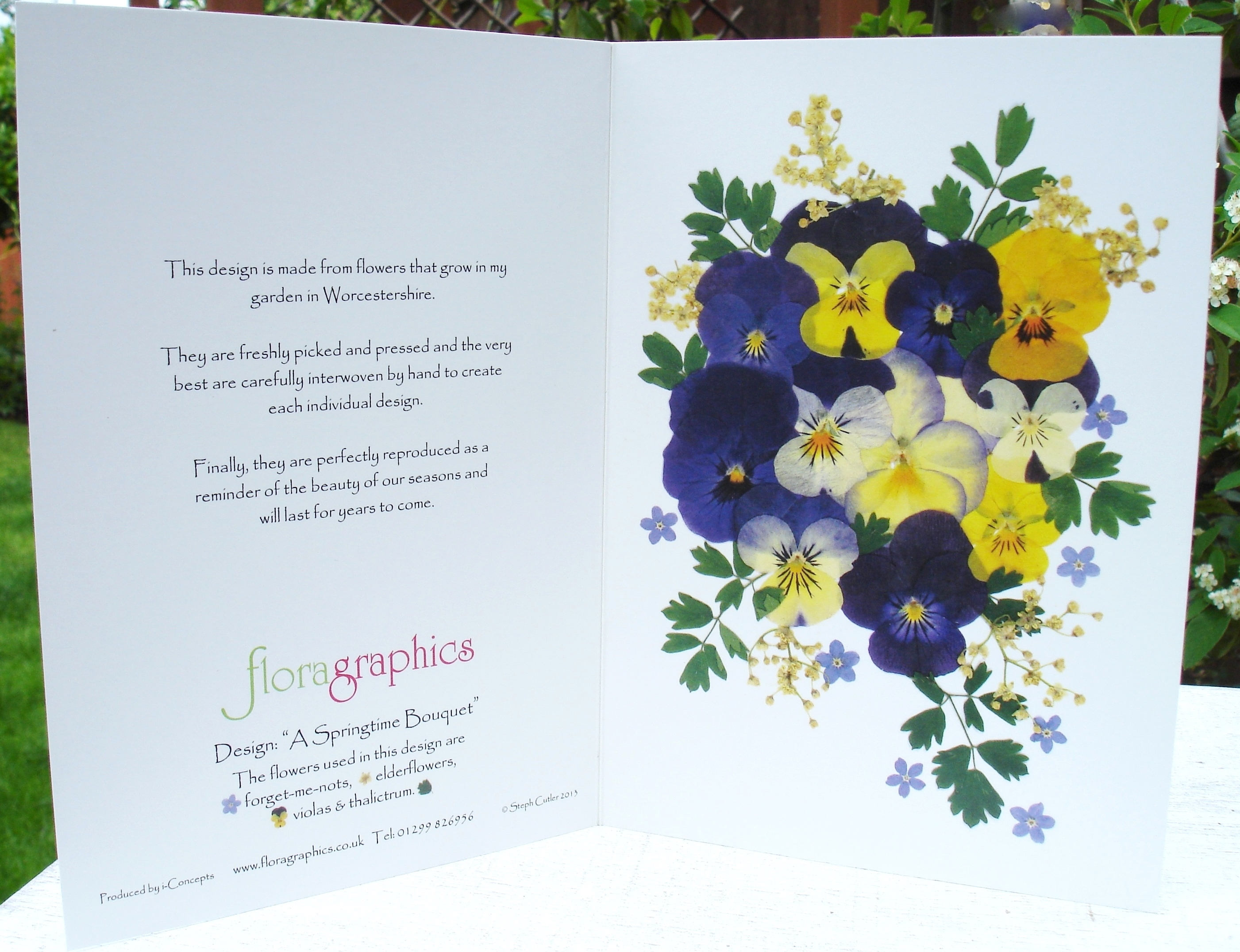 Forget Me Not Cards Pack Of 6 English Pressed Flower PRINTS Etsy
