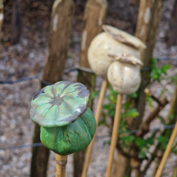 Papaverbol groen klein