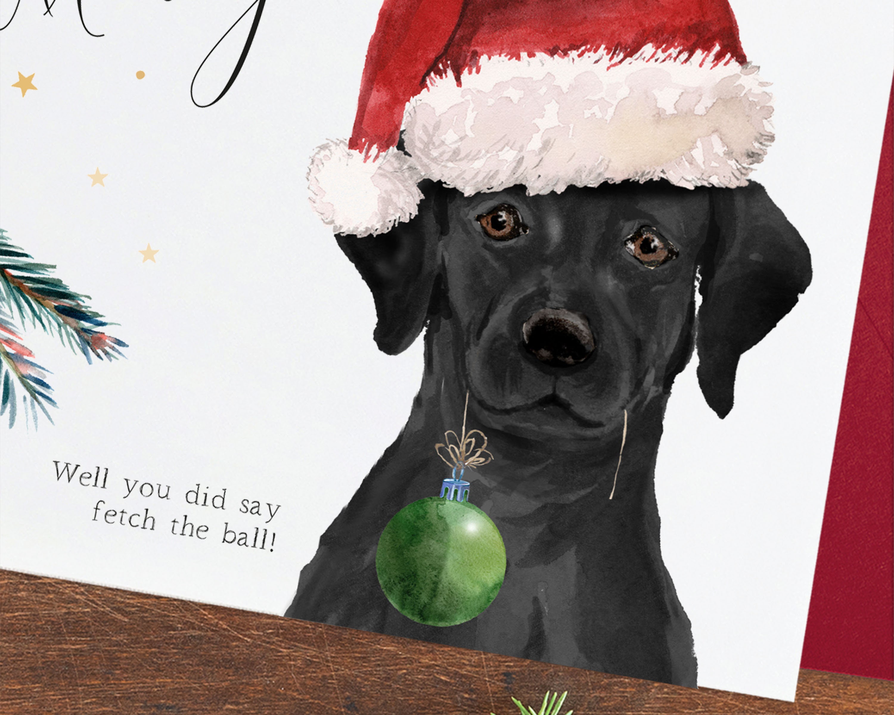 Black Labrador Christmas Cards 