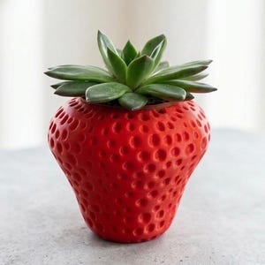 May include: A bright red planter shaped like a strawberry with a textured surface featuring small indentations. A green succulent plant with thick, pointed leaves is planted inside the top opening of the strawberry-shaped container.