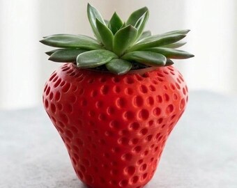 May include: A bright red planter shaped like a strawberry with a textured surface featuring small indentations. A green succulent plant with thick, pointed leaves is planted inside the top opening of the strawberry-shaped container.