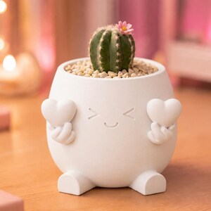 May include: A white ceramic planter with a smiling face and heart-shaped hands, holding a small cactus with a pink flower. The planter is filled with small pebbles and sits on a wooden surface.