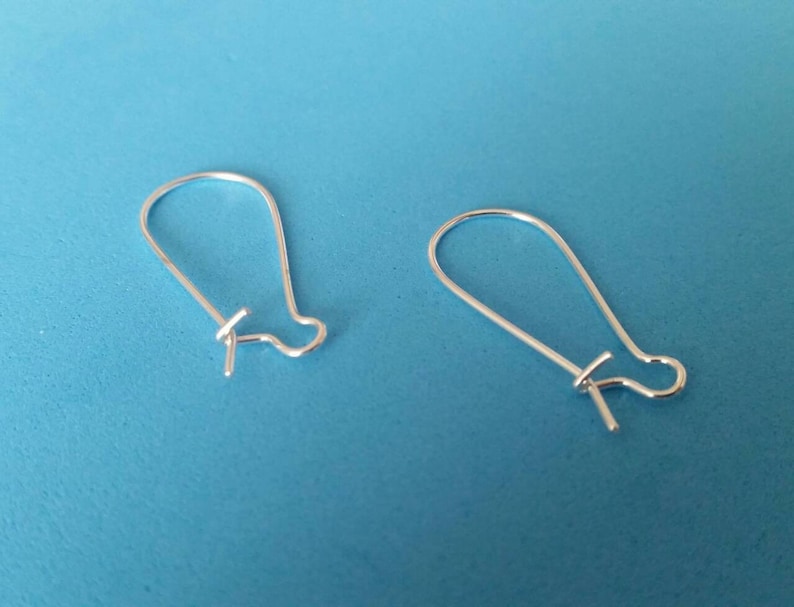 Tropical Fish Earrings