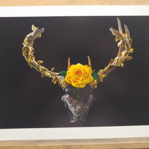 Pode incluir: Um crânio de veado com chifres dourados adornados com folhas verdes e uma grande rosa amarela no topo sobre um fundo preto.