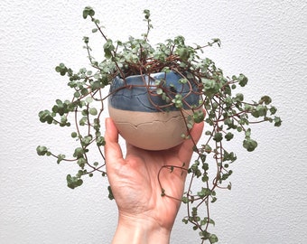 Ceramic plant ball 2 sizes planter