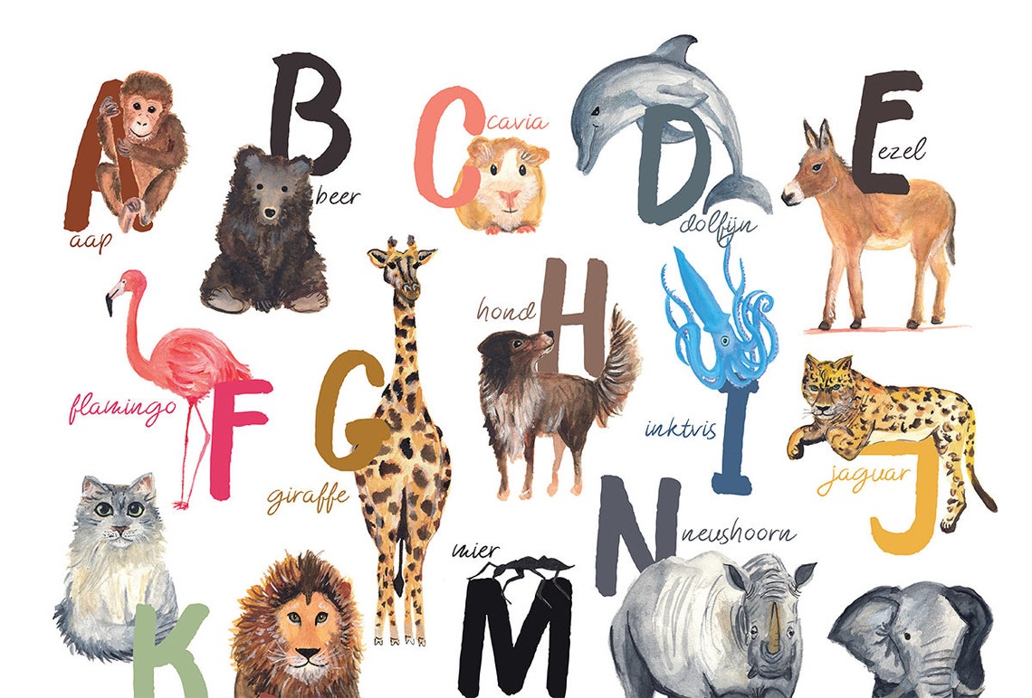 Vrolijke Nederlandse ABC dieren poster alfabet kinderkamer - Etsy Nederland