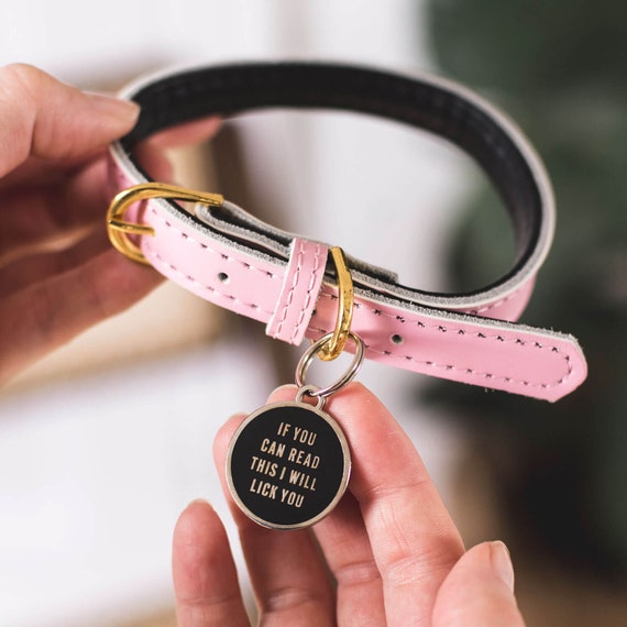 Dog Name s Pet Id Funny Pet Dog Id Etsy