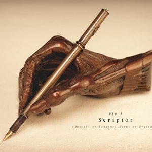 May include: A bronze sculpture of a hand holding a vintage-style fountain pen. The pen is inscribed with the word "Scriptor" and the text "(Musculi et Tendines Manus et Digitorum)".