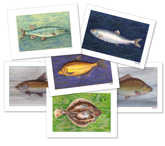 6 Postkarten, Fischset A, Hecht, Hering, Brasse, Karpfen, Scholle, Barbe, Mischtechn., matter 300 g Karton, Geschenk für Angler, maritim