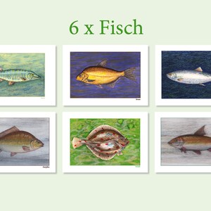 May include: Six illustrated cards featuring different types of fish. Each card has a white border and a colorful background with a detailed drawing of a fish. The fish are labeled with their names in German: Hecht, Brassen, Hering, Karpfen, Flunder, and Rotauge.