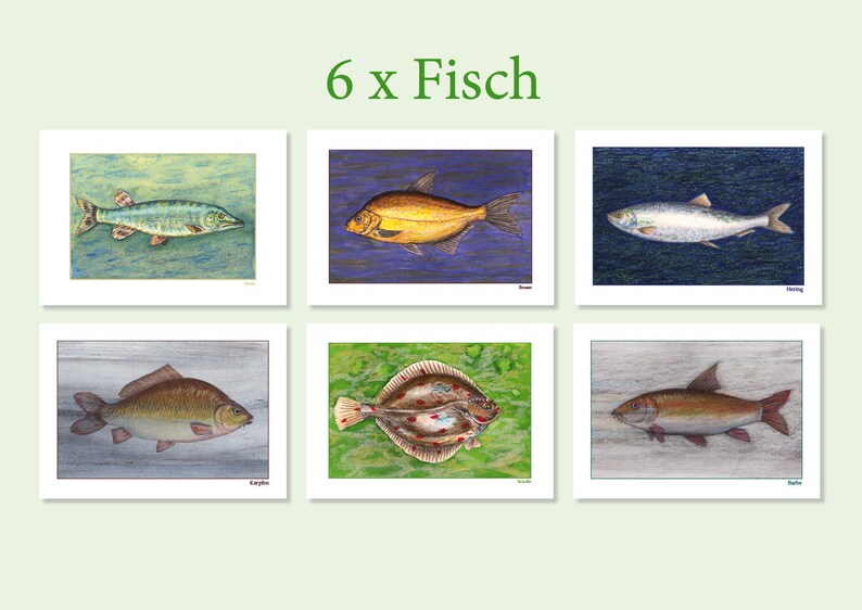 May include: Six illustrated cards featuring different types of fish. Each card has a white border and a colorful background with a detailed drawing of a fish. The fish are labeled with their names in German: Hecht, Brassen, Hering, Karpfen, Flunder, and Rotauge.