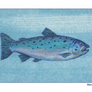 Pu&ograve; includere: Un pesce blu e argento con macchie nere nuota su uno sfondo blu chiaro. Il pesce ha una bocca grande e un corpo lungo e sottile. La parola "Meerforelle" &egrave; scritta in blu nella parte inferiore dell'immagine.