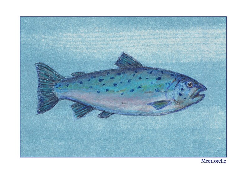 Pu&ograve; includere: Un pesce blu e argento con macchie nere nuota su uno sfondo blu chiaro. Il pesce ha una bocca grande e un corpo lungo e sottile. La parola "Meerforelle" &egrave; scritta in blu nella parte inferiore dell'immagine.