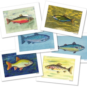 Könnte beinhalten: Fünf Aquarelle von verschiedenen Fischarten. Die Fische schwimmen alle im Wasser und die Aquarelle sind alle auf weißem Hintergrund. Die Fische sind: ein Lachs, ein Hering, ein Makrele, eine Plötze und eine Forelle.
