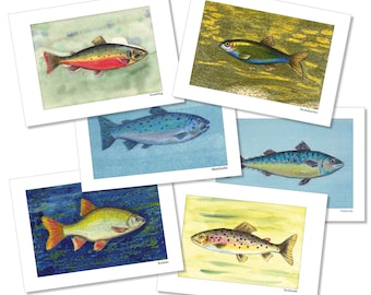 6 Postkarten, Fischset B, Meerforelle, Moderlieschen, Seesaibling, Rotfeder, Makrele, Bachforelle, Mischtechn., matter 300 g Karton, maritim