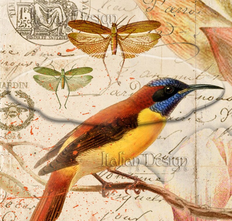 Bird scrapbook paper large image decoupage paper Vintage Etsy