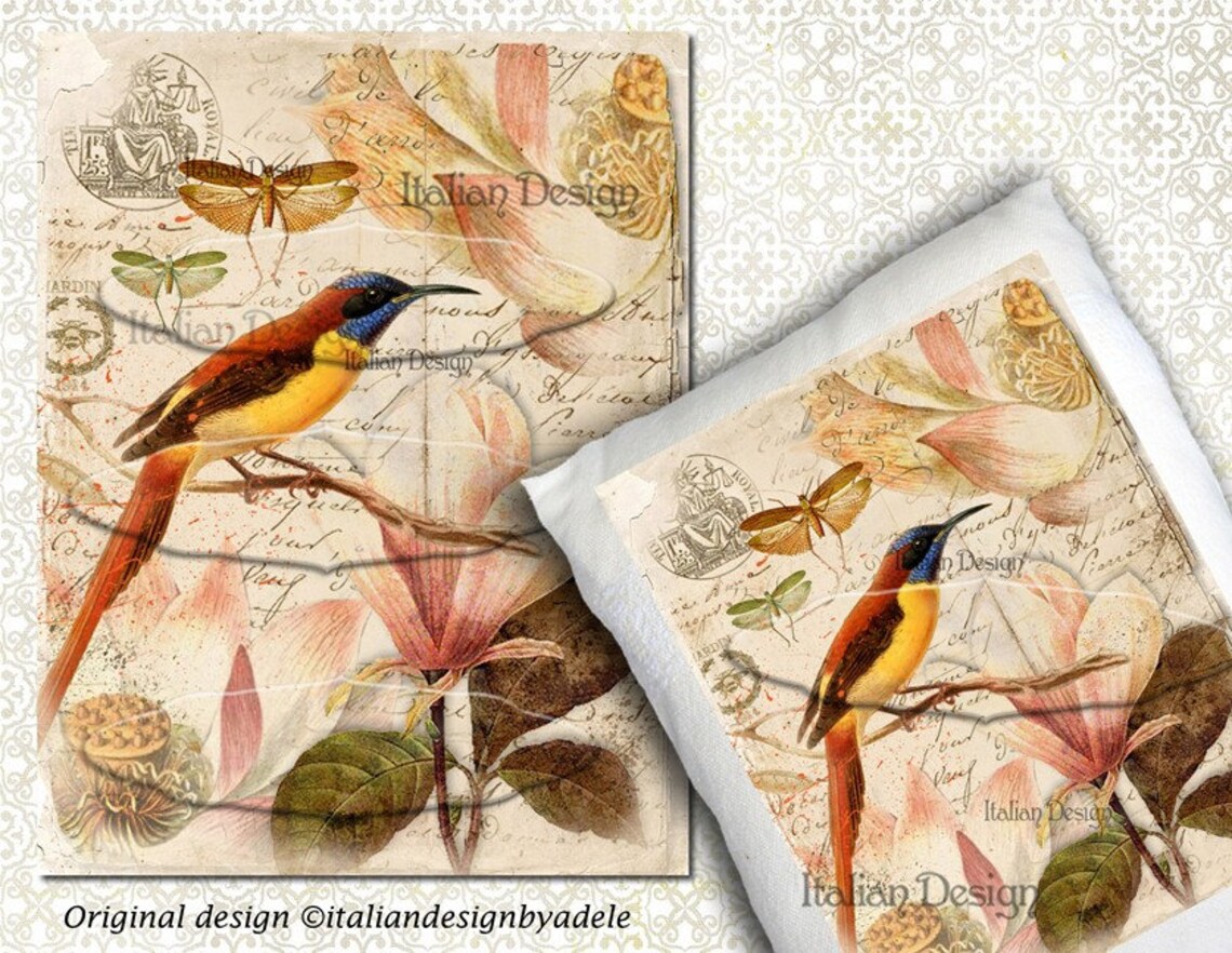 Bird scrapbook paper large image decoupage paper Vintage Etsy
