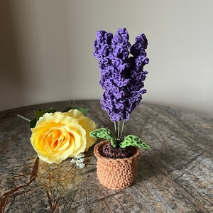 May include: A crocheted purple hyacinth flower in a brown crocheted pot with green leaves. The flower is sitting on a wooden table.