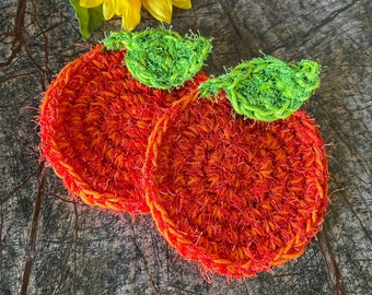 Orange Dish Scrubby Set of 2, Scrub Pads, Pot Scrubber, Reusable Cleaning Pad, Kitchen, Gift