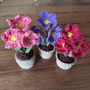 Mini Crochet Forget-Me-Not Flower Pot: Handmade Home Decor