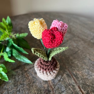 Mini Tulip Trio & Pot Crochet Amigurumi Tulips Crocheted - Etsy