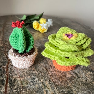 Crocheted Cactus Amigurumi: Handmade Cotton Home Decor