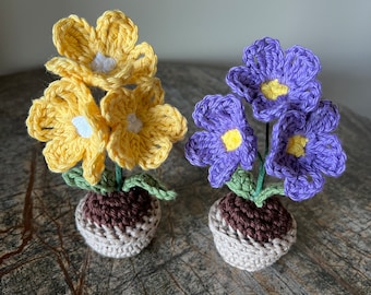 Mini Crochet Forget-Me-Not Flower Pot: Handmade Home Decor