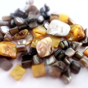 May include: A collection of iridescent shell beads in various shapes and sizes, including squares, rectangles, and irregular shapes. The beads are in shades of white, gold, and brown.