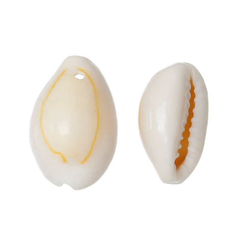 40286 200 mussels