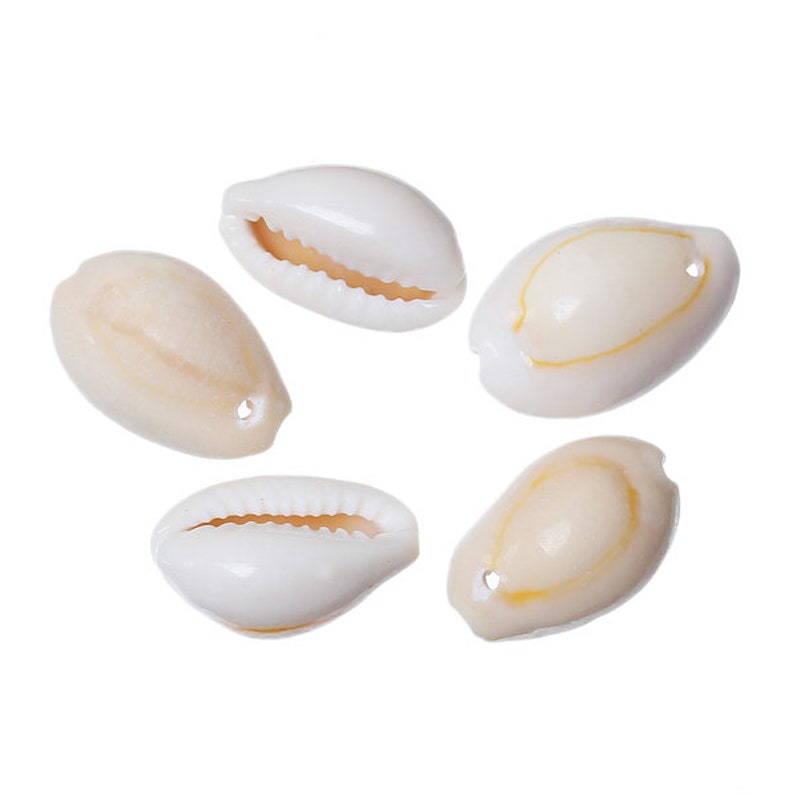 40286 200 mussels